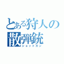 とある狩人の散弾銃（ショットガン）