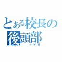 とある校長の後頭部（　　ハゲ頭）