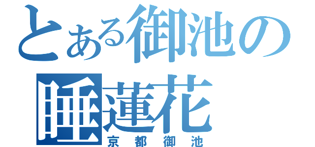 とある御池の睡蓮花（京都御池）