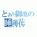 とある御池の睡蓮花（京都御池）