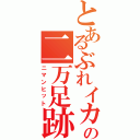 とあるぶれイカの二万足跡（ニマンヒット）