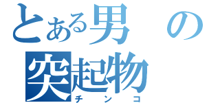 とある男の突起物（チンコ）