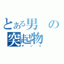 とある男の突起物（チンコ）