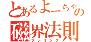 とあるよーちゃんの磁界法則（フレミング）