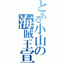 とある小山の海賊王宣言（）