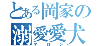 とある岡家の溺愛愛犬（マロン）