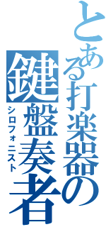 とある打楽器の鍵盤奏者（シロフォニスト）