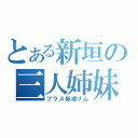 とある新垣の三人姉妹（プラス新垣リム）