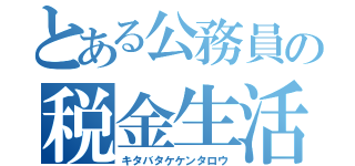 とある公務員の税金生活（キタバタケケンタロウ）