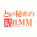 とある秘密の結社ＭＭＭ（ナニシタイノ？）