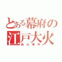 とある幕府の江戸大火事（放火事件）