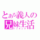 とある義人の兄妹生活（ドッキング）