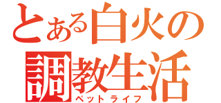 とある白火の調教生活（ペットライフ）