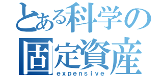 とある科学の固定資産税（ｅｘｐｅｎｓｉｖｅ）