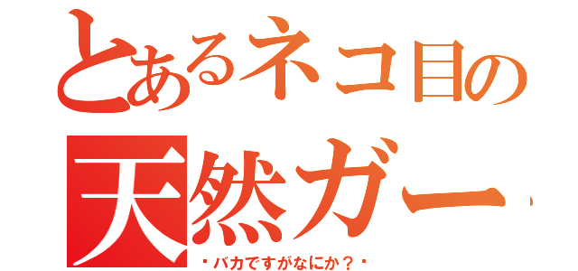 とあるネコ目の天然ガール（〜バカですがなにか？〜）