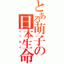 とある萌子の日本生命（ニッセイ）