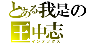 とある我是の王中志（インデックス）