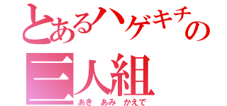 とあるハゲキチの三人組（あき あみ かえで）