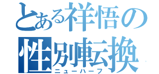 とある祥悟の性別転換（ニューハーフ）