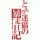 とある迷猫の暴走日記（誰も止められない）