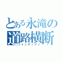 とある永滝の道路横断（インディアン）