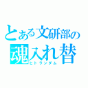 とある文研部の魂入れ替わり（ヒトランダム）