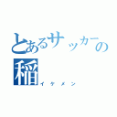 とあるサッカー部の稲（イケメン）