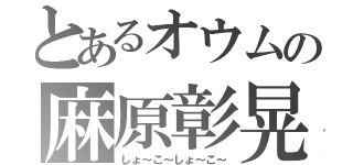 とあるオウムの麻原彰晃（しょ～こ～しょ～こ～）