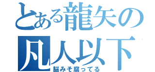 とある龍矢の凡人以下（脳みそ腐ってる）