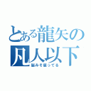 とある龍矢の凡人以下（脳みそ腐ってる）