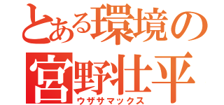 とある環境の宮野壮平（ウザサマックス）