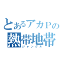 とあるアカＰの熱帯地帯（ジャングル）