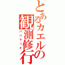 とあるカエルの観測修行（パパラッチ）