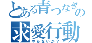 とある青つなぎの求愛行動（やらないか？）