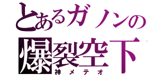 とあるガノンの爆裂空下（神メテオ）