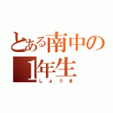 とある南中の１年生（しょうま）