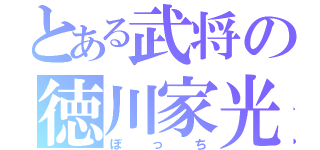 とある武将の徳川家光（ぼっち）