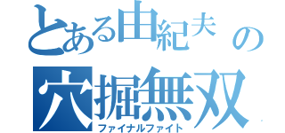 とある由紀夫             の穴掘無双（ファイナルファイト）