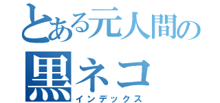 とある元人間の黒ネコ（インデックス）