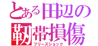 とある田辺の靭帯損傷（フリーズショック）