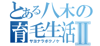 とある八木の育毛生活Ⅱ（サヨナラボクノケ）