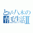 とある八木の育毛生活Ⅱ（サヨナラボクノケ）