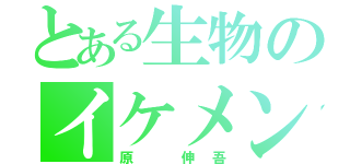 とある生物のイケメン教師（原　伸吾）