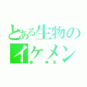 とある生物のイケメン教師（原　伸吾）