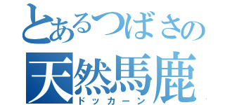 とあるつばさの天然馬鹿（ドッカーン）