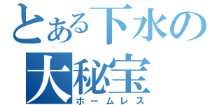 とある下水の大秘宝（ホームレス）