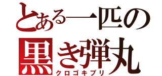 とある一匹の黒き弾丸（クロゴキブリ）