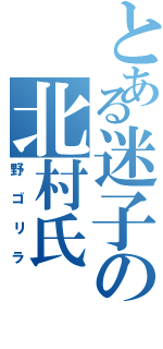 とある迷子の北村氏（野ゴリラ）