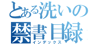 とある洗いの禁書目録（インデックス）