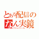 とある配信のなん実鏡（アクションフリーダム）